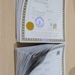 Apostille4